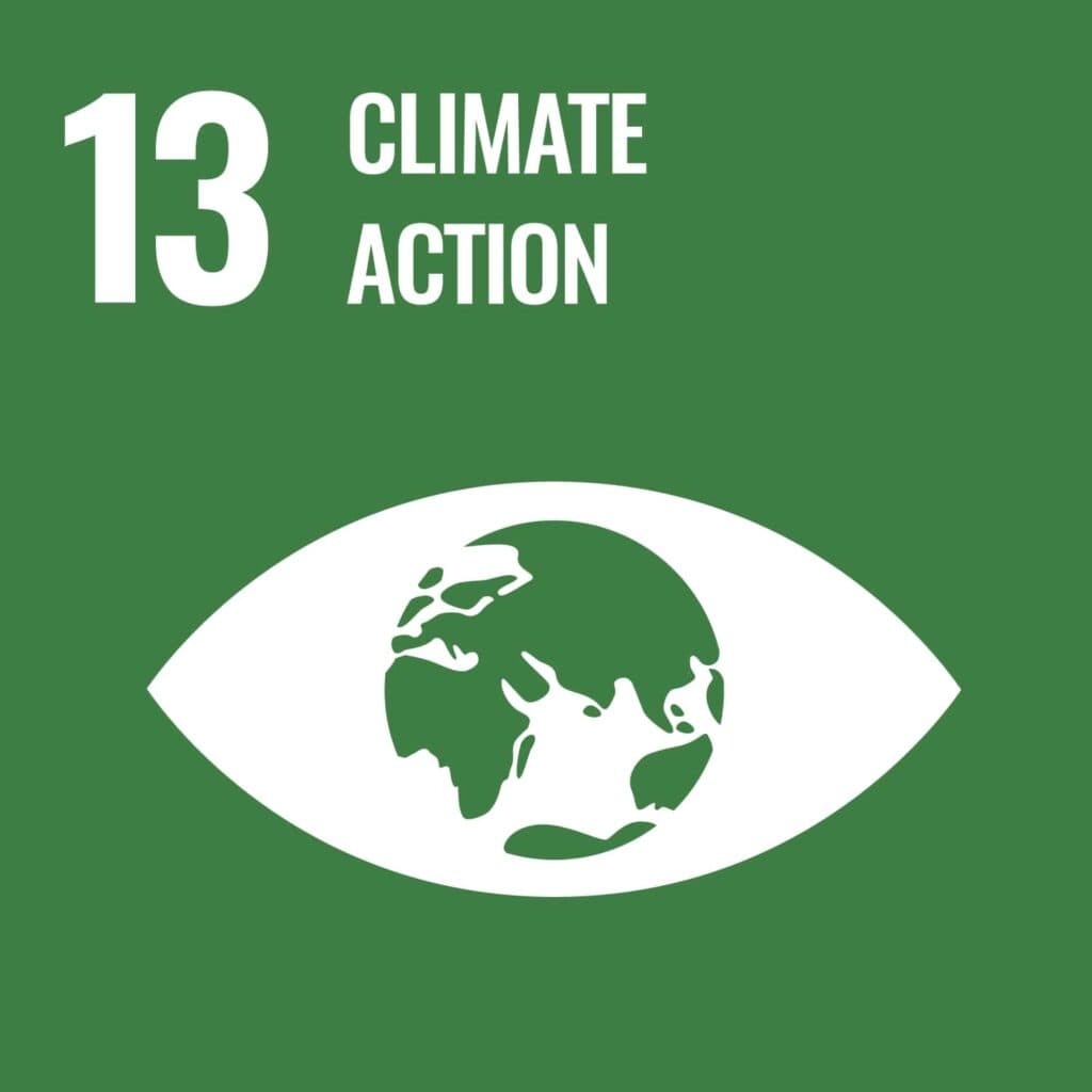 SDG 13 - Cllimate Action Colored