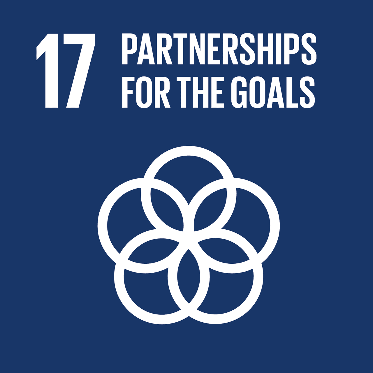 SDG 17 - Partnership for the Goals Colored