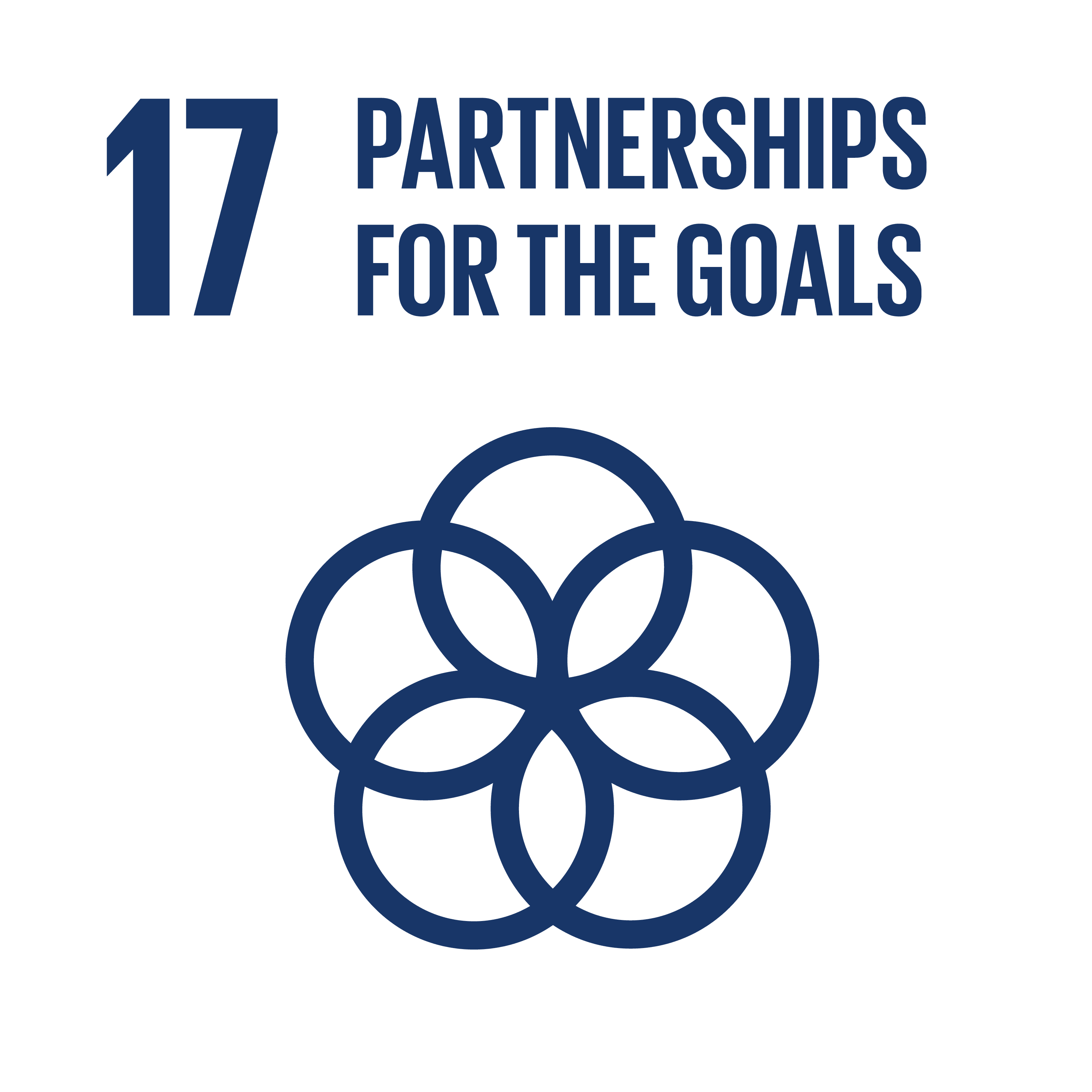 SDG 17 - Partnership for the Goals